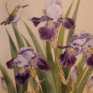 Meet your Posher, Ellen